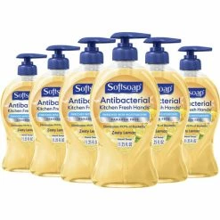 Best reviews of 🔥 Antibacterial Hand Soap Pump - Citrus Scent - 11.3 Fl Oz (332.7 ML) - Pump Bottle Dispenser - 6 / Carton ⌛