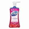 Cheap 🧨 Dial Antibacterial Foaming Hand Wash, Power Berries, 7.5 Oz Pump Bottle 🛒